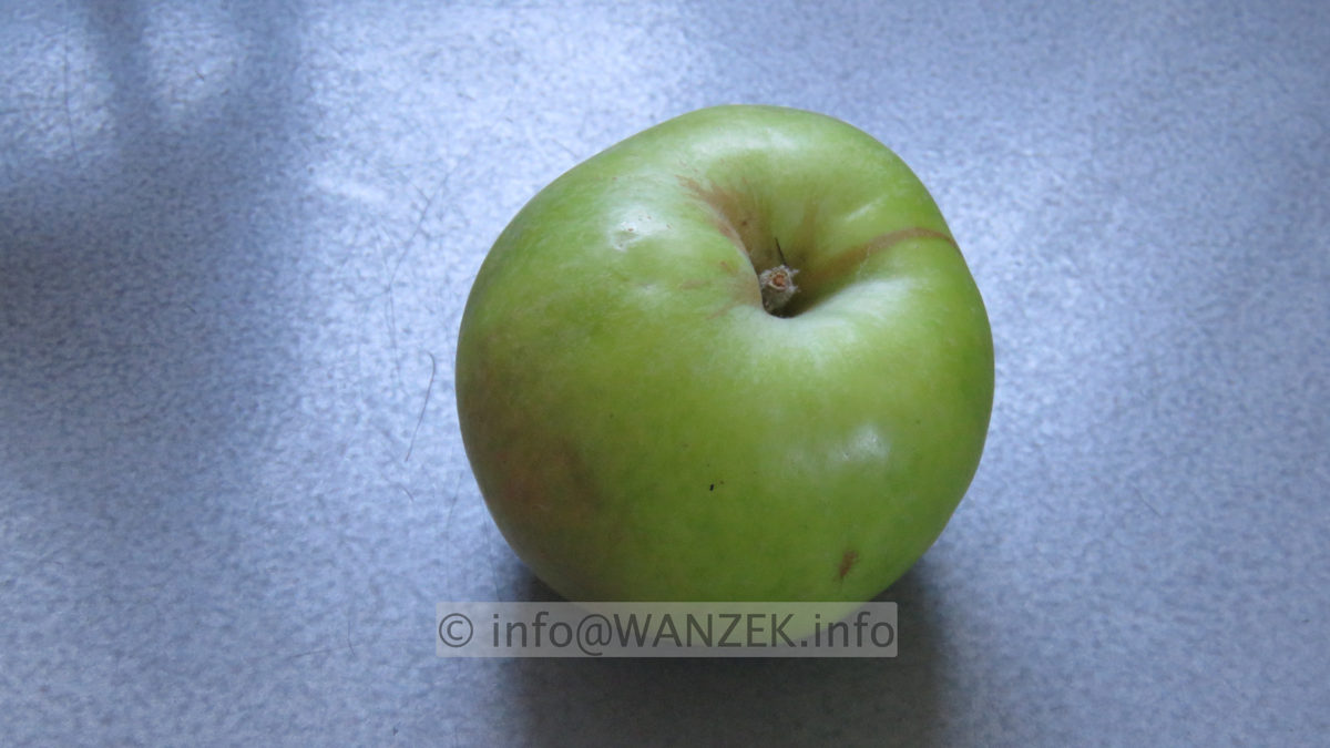 Apfel Klarapfel 02.JPG